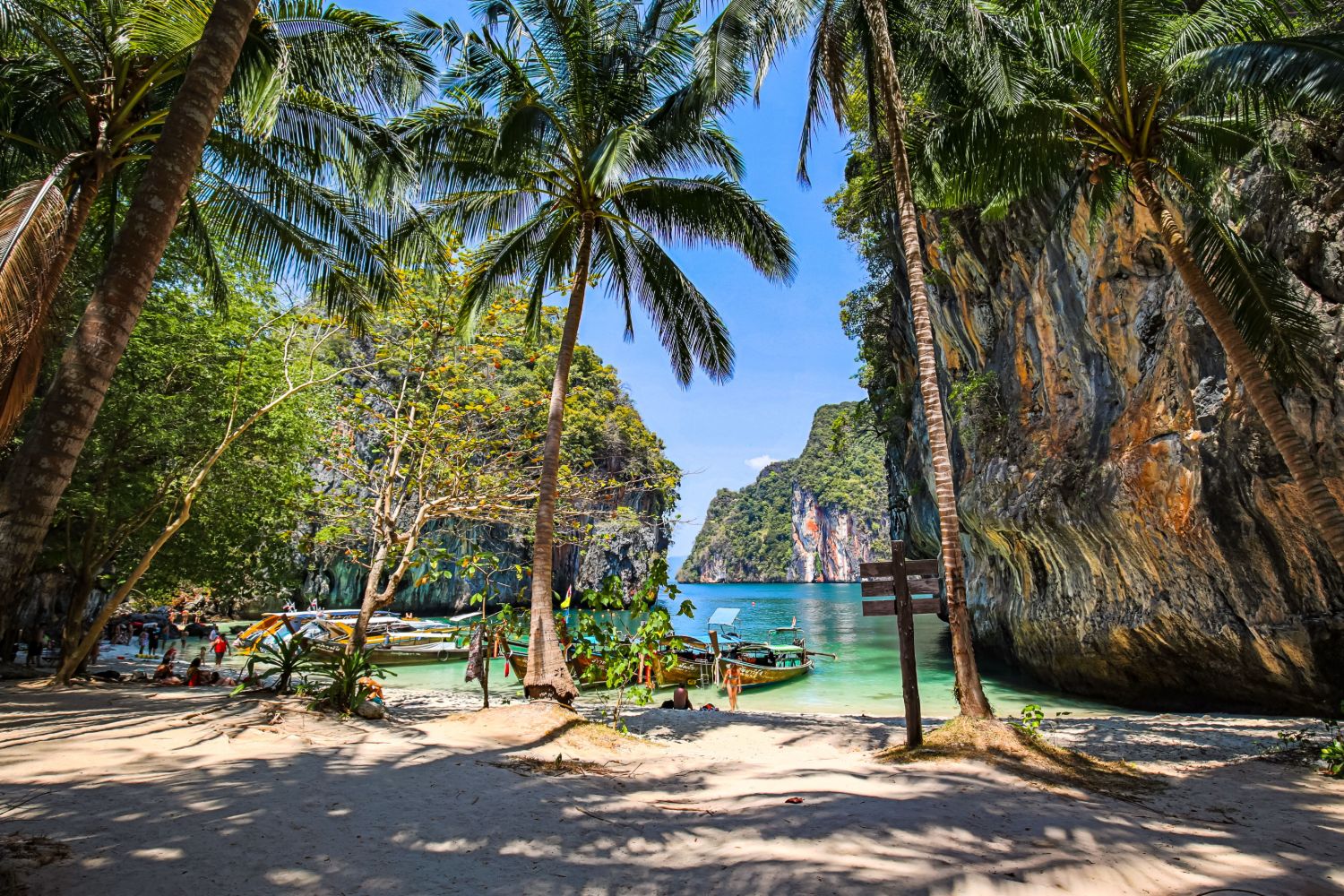 Palm-framed beach at Loh Samah Bay with longtail boats