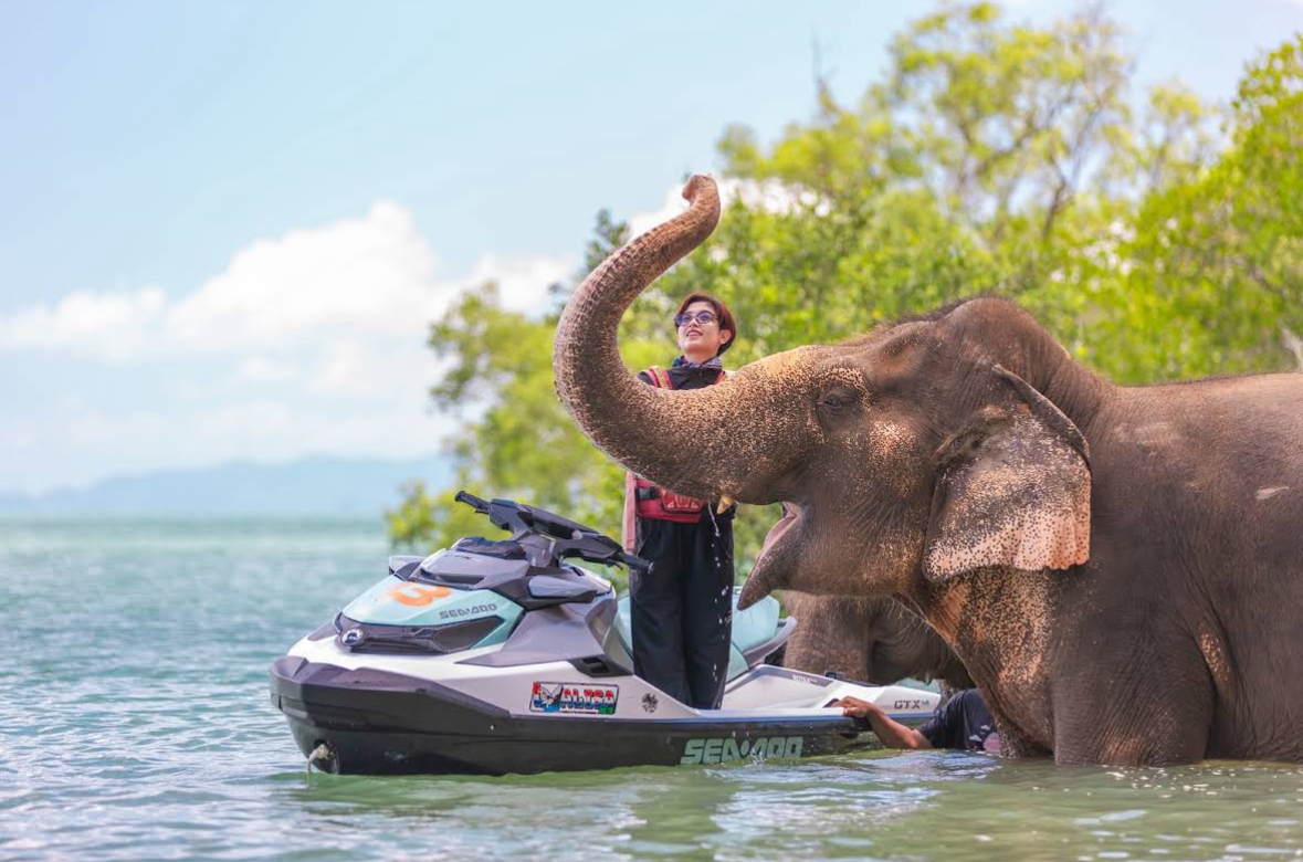 Customer meeting an elephant on the Elephant Route